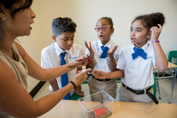 Reference photo: Teacher exploring a science specimen with scholars — from achievementfirst.org