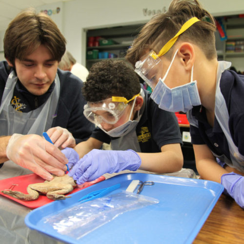 AF Greenfield Featured in the Hechinger Report