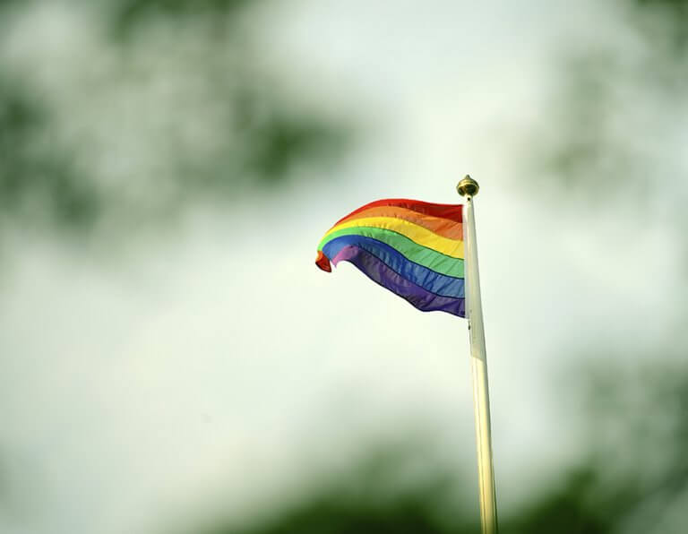 A rainbow flag on a flagpole