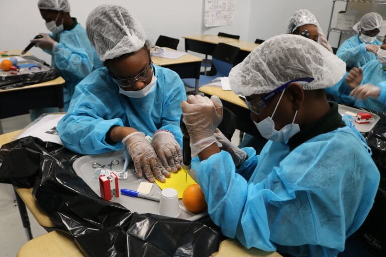 Students simulate brain surgery with fruit