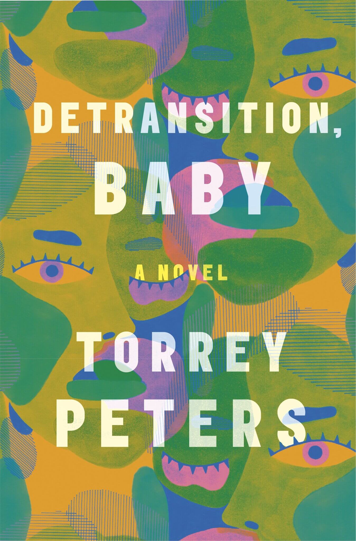 Book cover of Detransition Baby